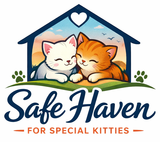 safe-haven-for-special-kitties